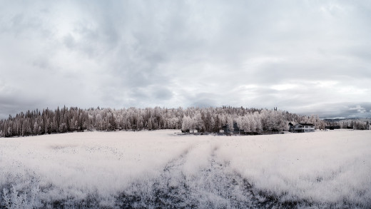 650977 (a): :1920x1080
